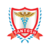 Santosh University