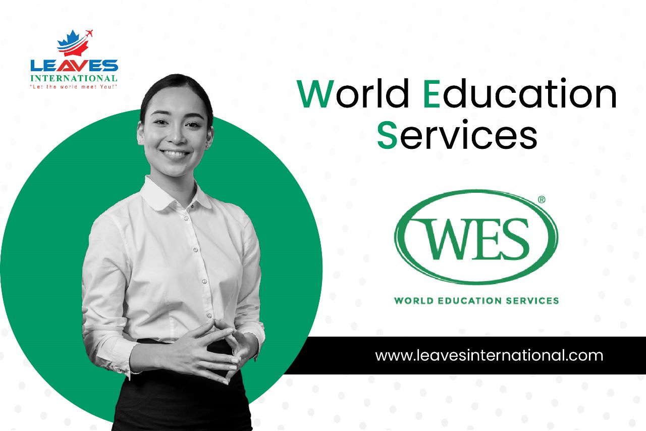 Корпоративное обучение английскому языку | WES-English Профи для профи